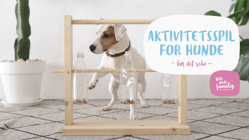 Gør-det-selv – aktivitetsspil for hunde