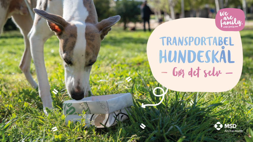 Gør-det-selv – transportabel hundeskål