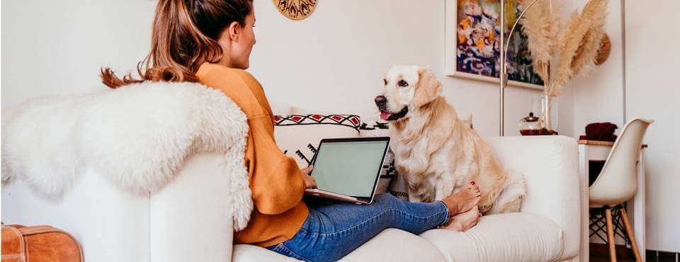 Working at Home with Your New “Co-Workers” – Your Pets