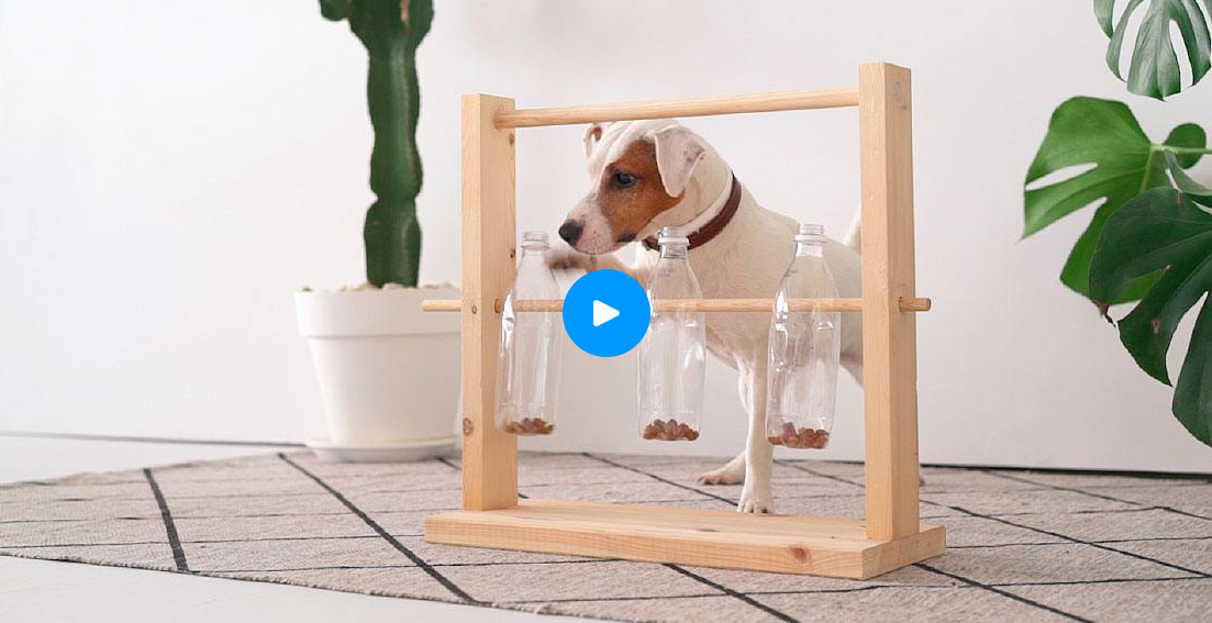 DIY: Make Puzzle Toys for Your Dog Using Recycling — Tails of Connection -  How to connect with my dog, online dog training, strengthen your bond, dog  owners