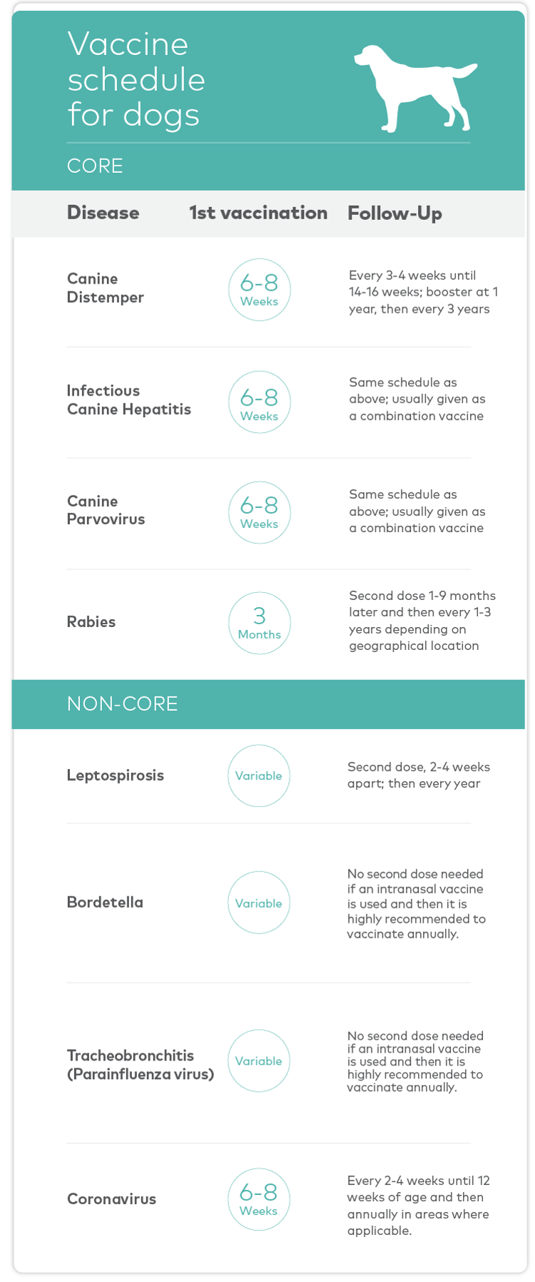 Non core hot sale cat vaccines