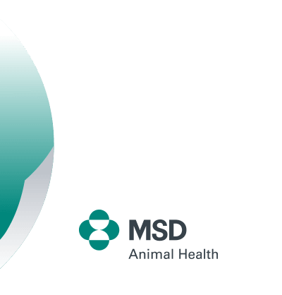 MSD Animal Health South Africa