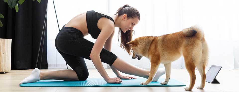 Yoga with dogs
