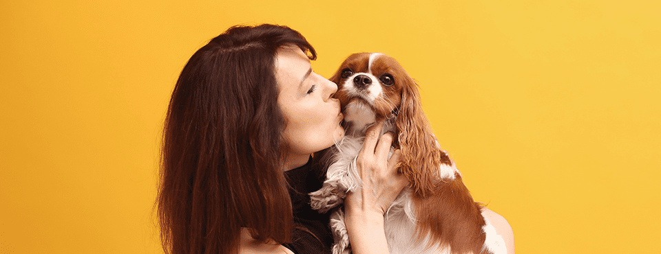 good behavior dog