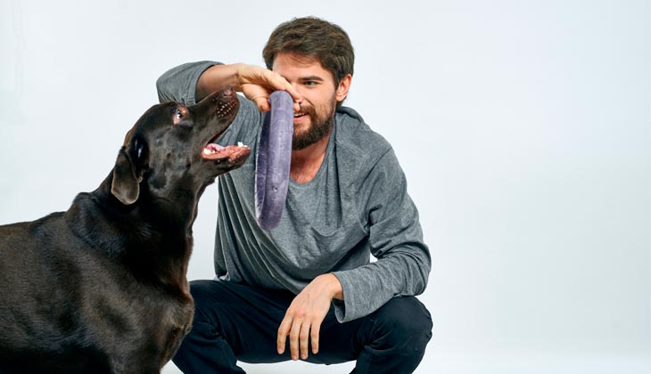 Dog Exercise