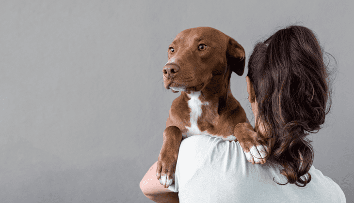 dog anxious