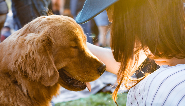 symptoms of worms in dogs
