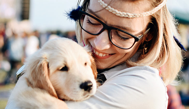 diabetes in dogs