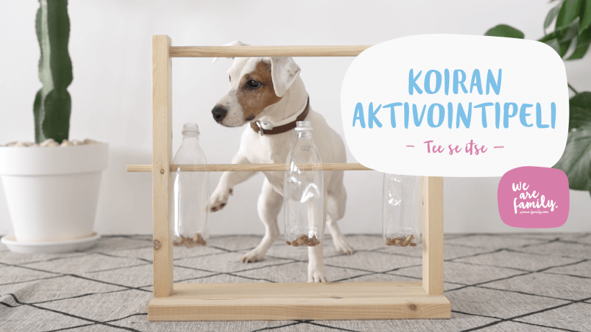 Tee-se-itse – koiran aktivointipeli