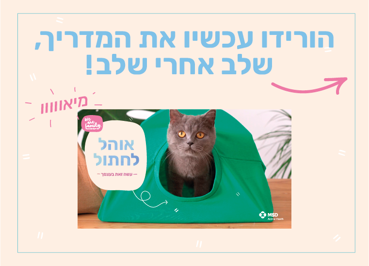 עשה זאת בעצמך  - אוהל לחתולים