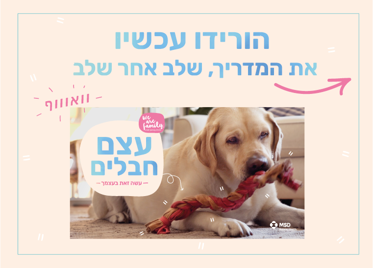 עשה זאת בעצמך  - עצם מחבלים