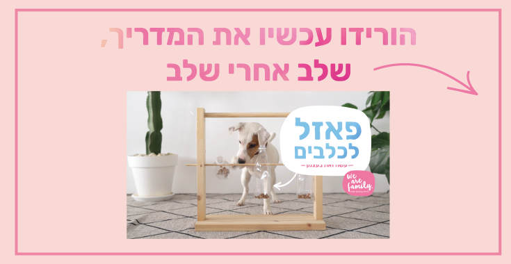 עשה זאת בעצמך  - פאזל לכלבים