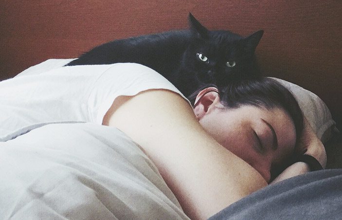 Perchè gatto adora dormire me? - We Are Family
