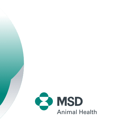 MSD Animal Health Italy