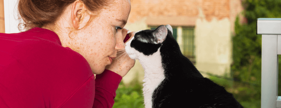 Come prestare cure amorevoli al proprio gatto anziano