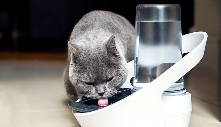 prodotti tech per pet