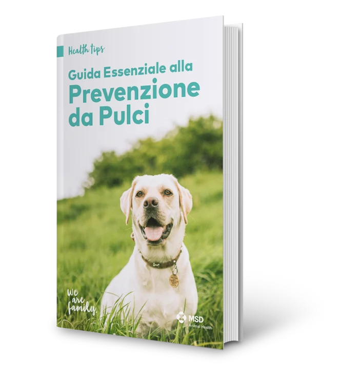dog book