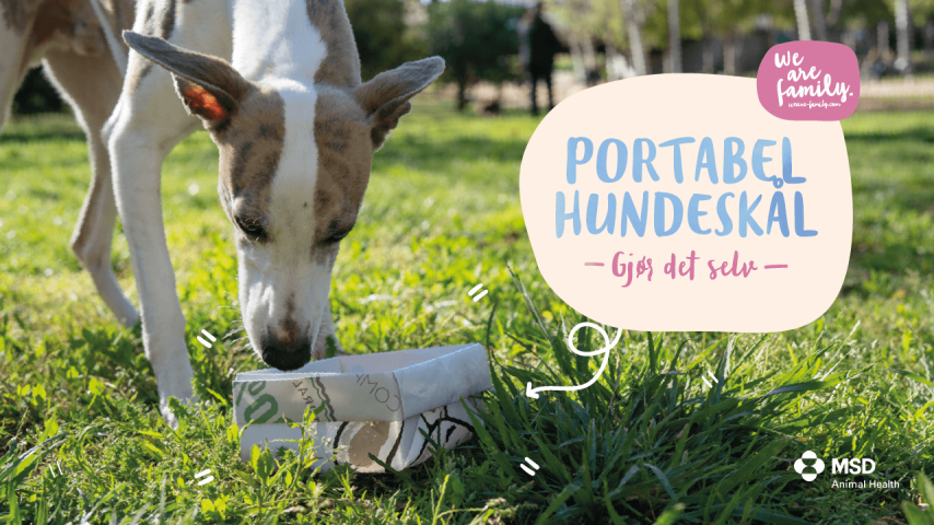 Gjør-det-selv – Portabel hundeskål