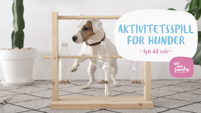 Gjør-det-selv – Aktivitetsspill for hunder