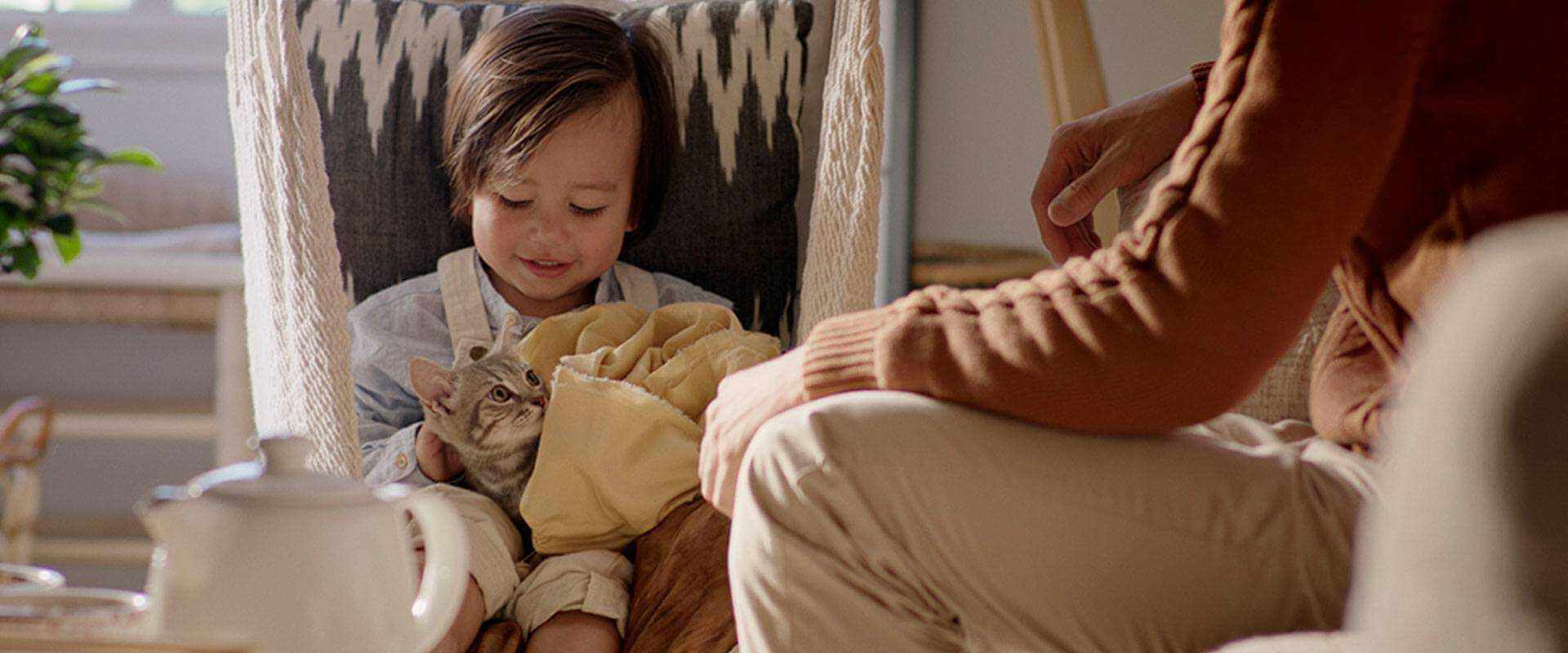 Lær mer om hvordan du tar hånd om din katt på best mulig måte