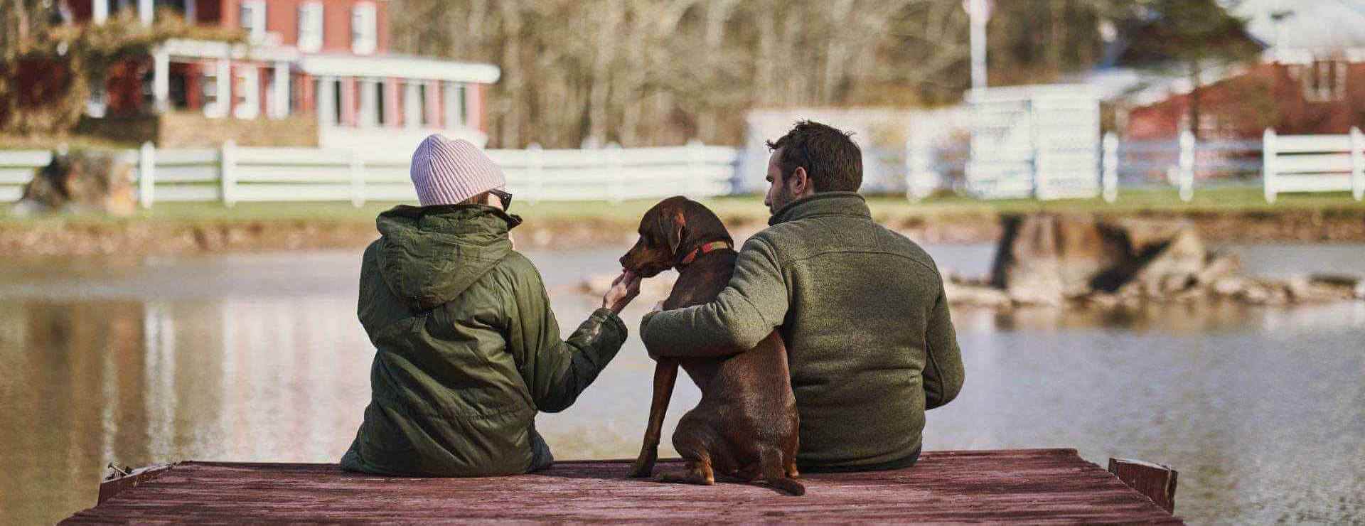 hundfamilj
