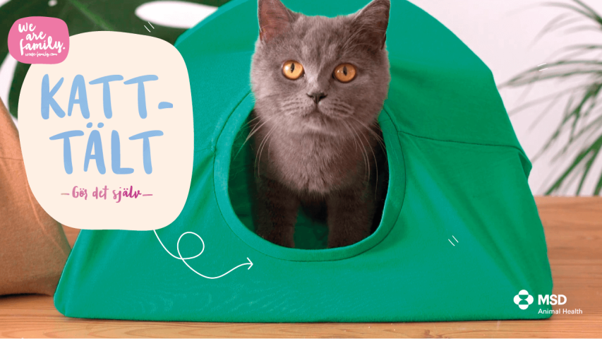 Gör-det-själv – Katt-tält